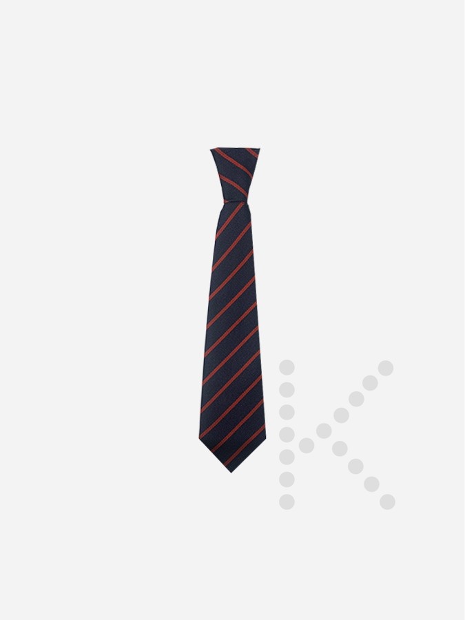 Elastic Tie