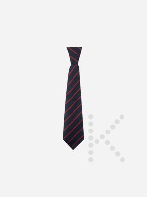Elastic Tie