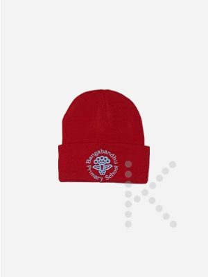 Winter Hat