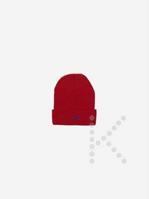 Winter Hat