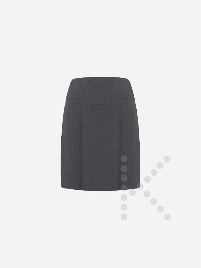 Front Panel Pleated Skirt (Grey)