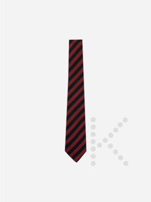 Years 7 to 9 Tie