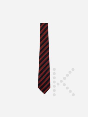 Years 7 to 9 Tie