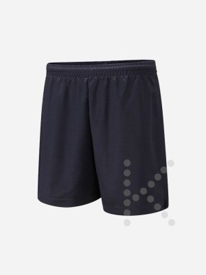 P.E. Shorts (Navy)