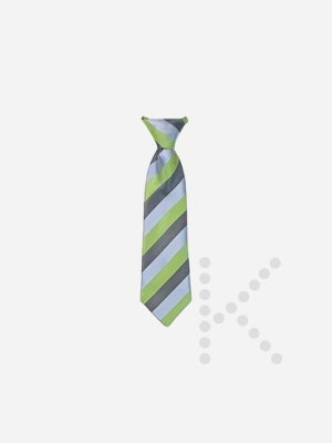 Elastic Tie