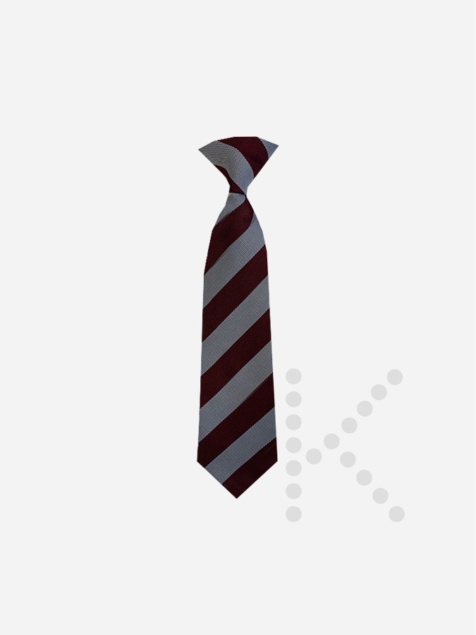 Elastic Tie