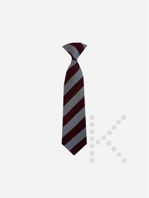 Elastic Tie