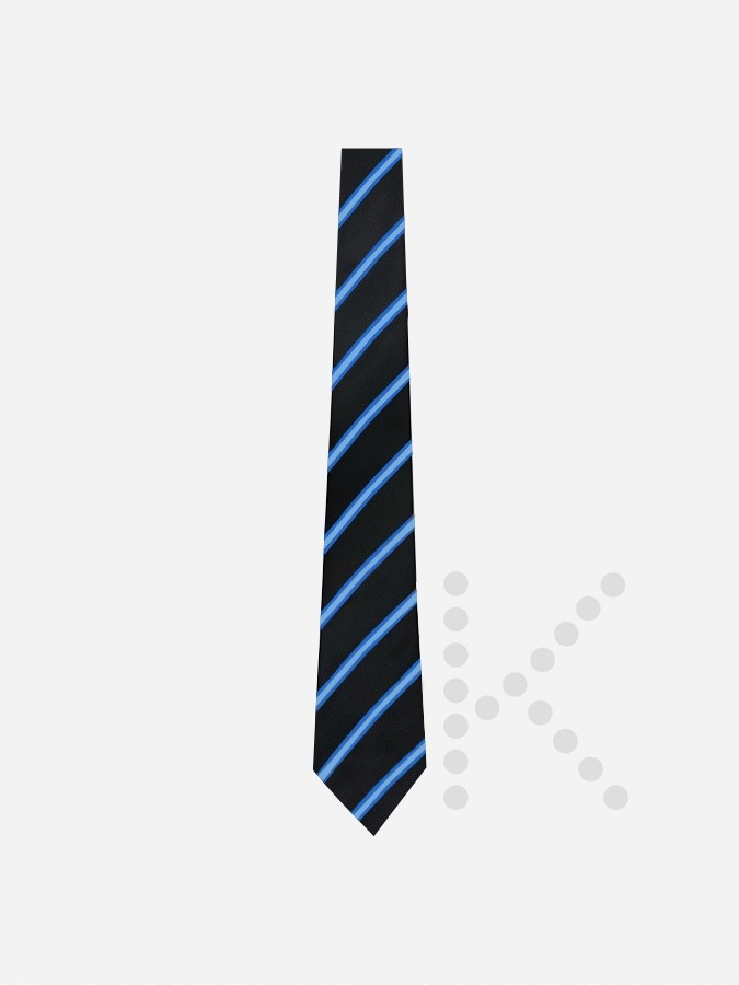 House Ties - Image 2