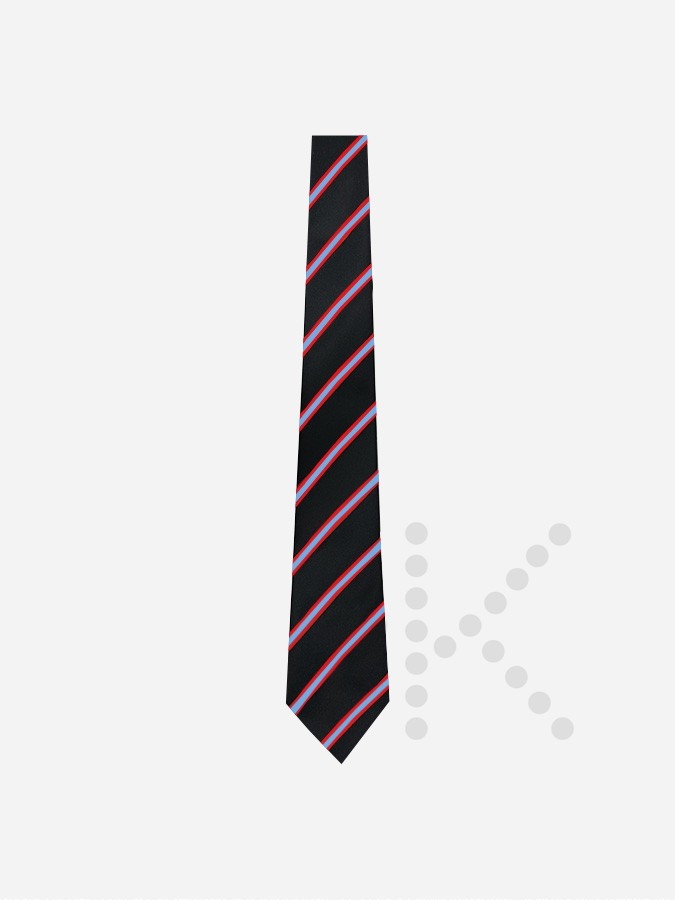 House Ties - Image 4