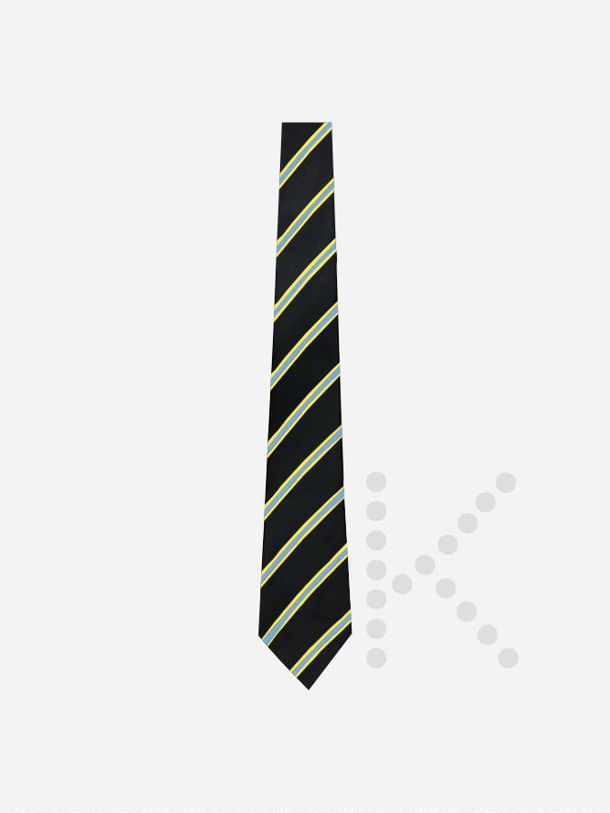 House Ties - Image 5