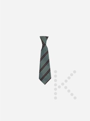 Elastic Tie