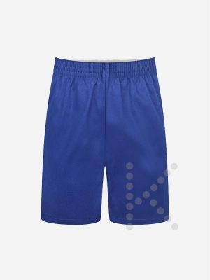 P.E. Shorts (Royal Blue)