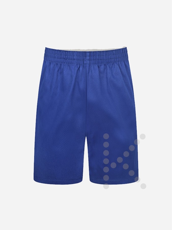 P.E. Shorts (Royal Blue)