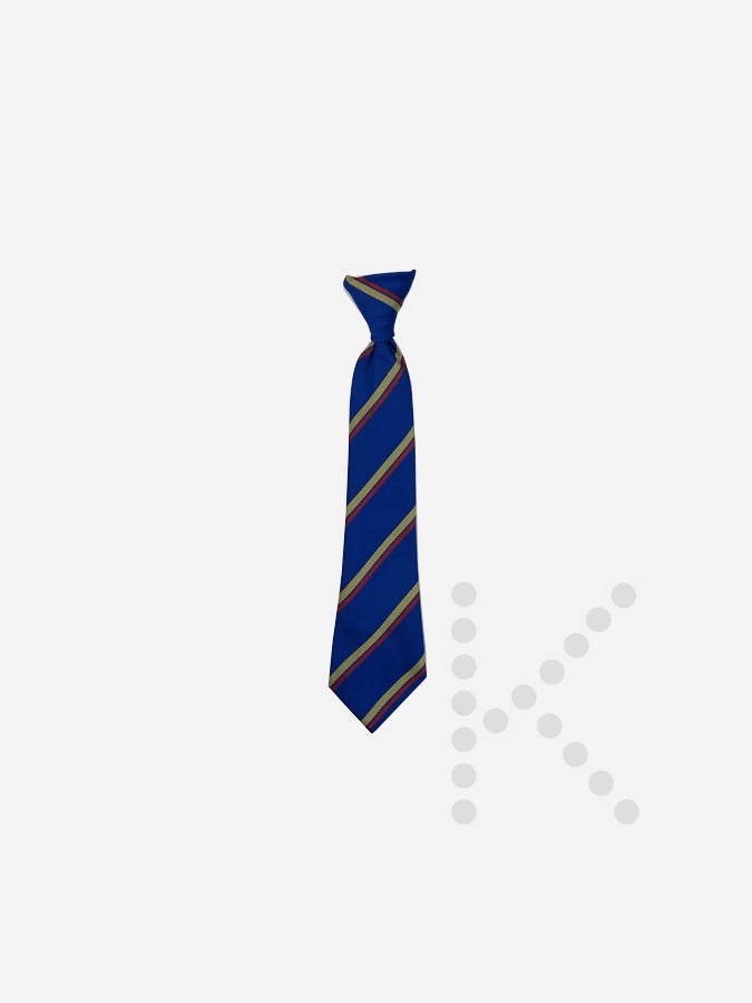 Elastic Tie