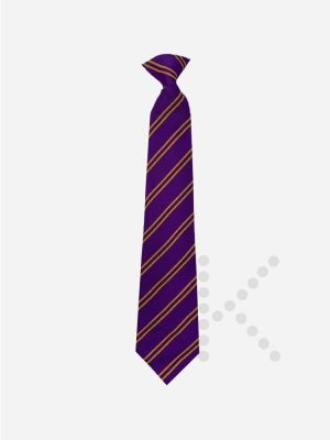 Years 7 to 9 Tie
