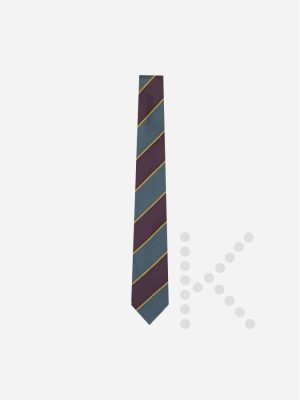 Years 10 & 11 Tie