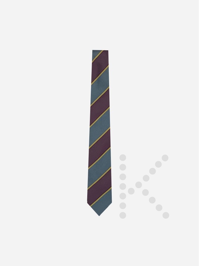 Years 10 & 11 Tie