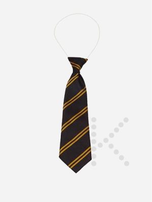 Elastic Tie