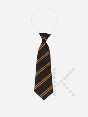 Elastic Tie
