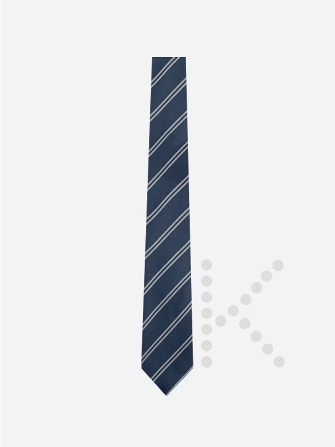 Sixth Form Tie