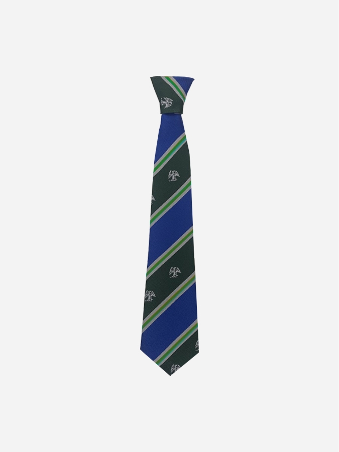 Yrs 3 to 6 House Ties