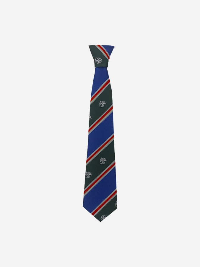 Yrs 3 to 6 House Ties