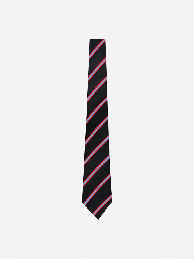 House Ties
