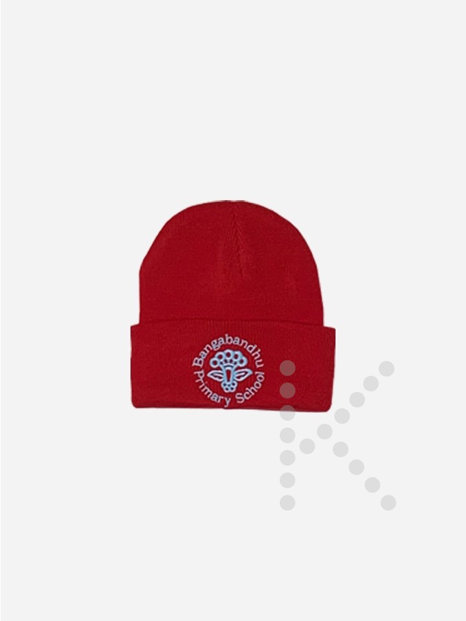 Winter Hat