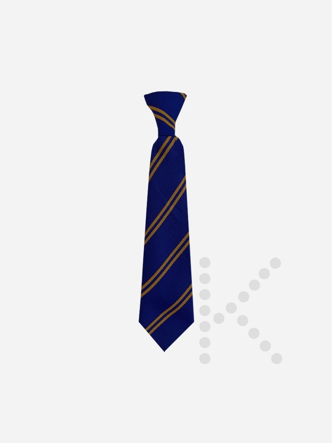 Elastic Tie