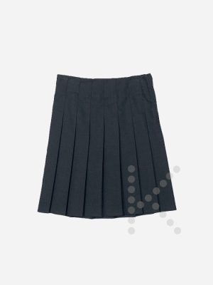 Pleated Skirt