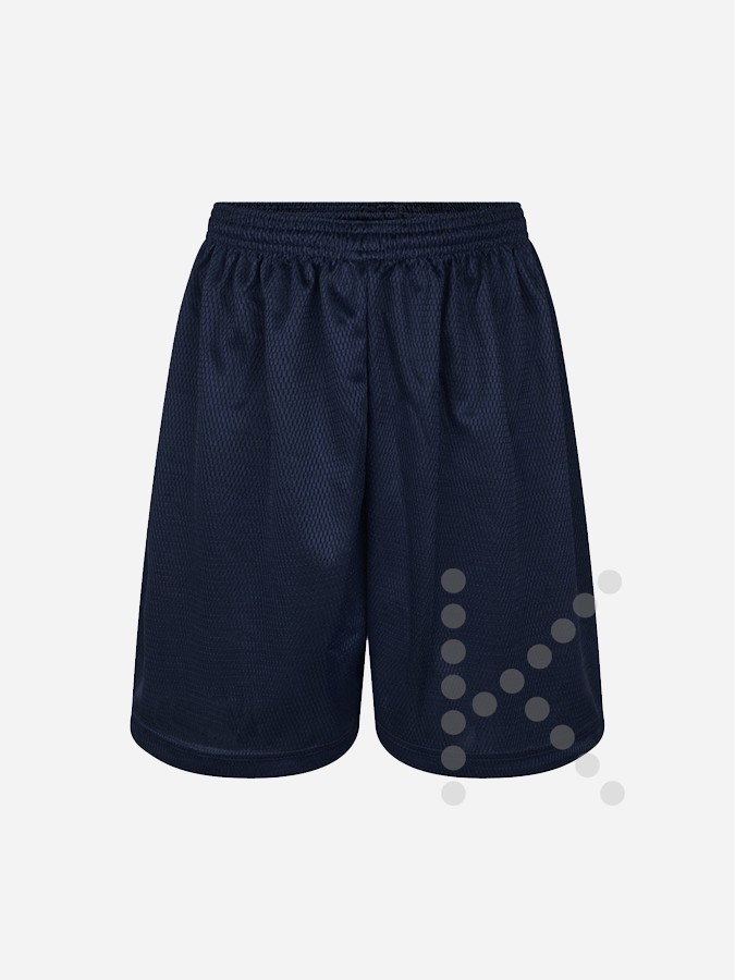 Mesh P.E Shorts (Navy)