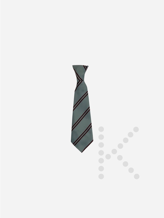 Elastic Tie