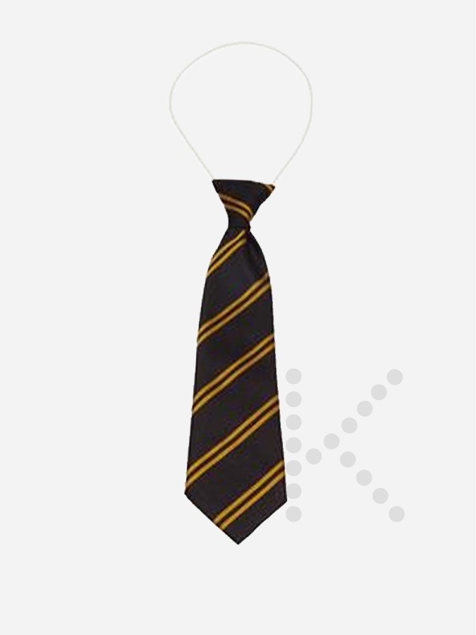 Elastic Tie